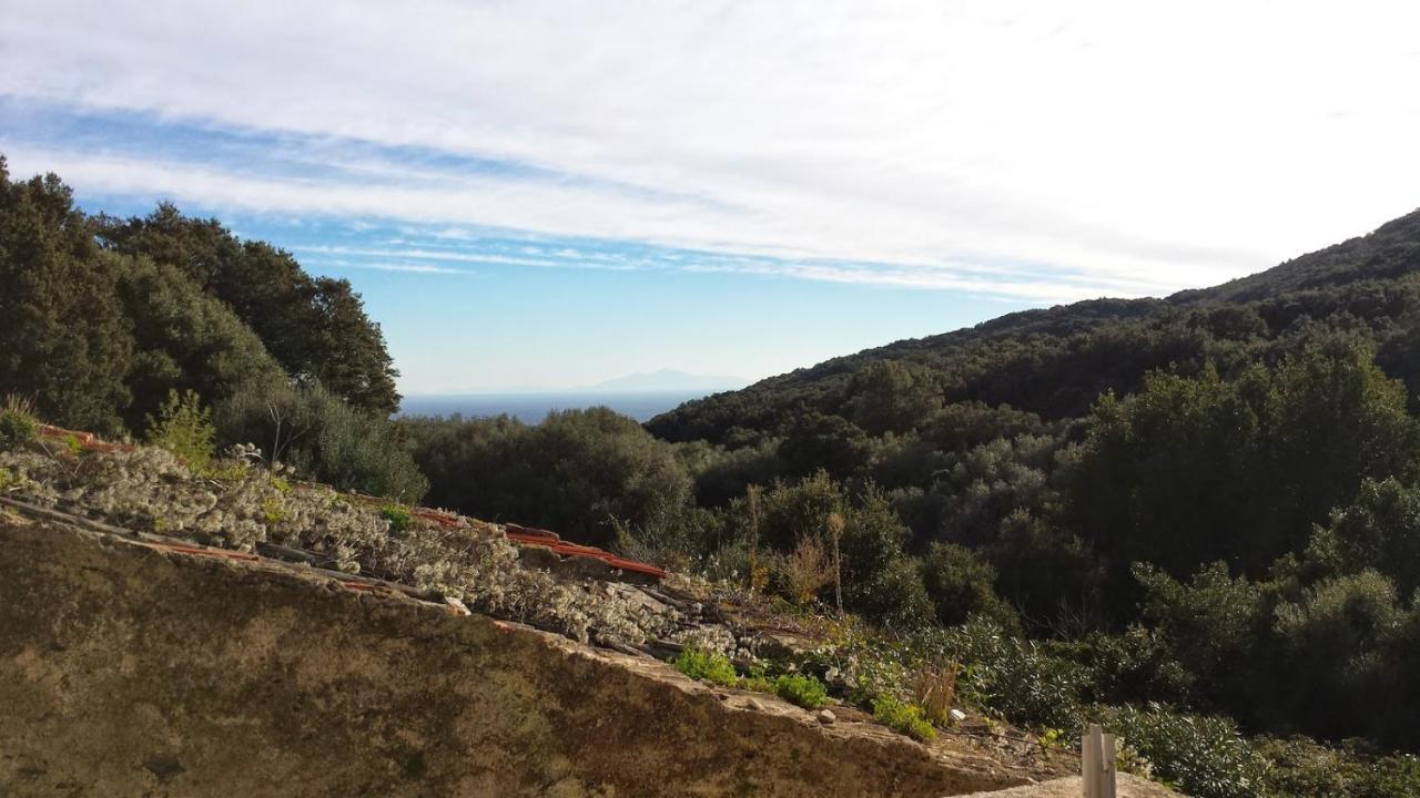 Maison Dans Le Cap Corse Villa Tomino Exterior photo